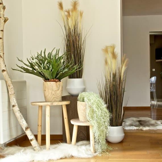 Plantes de différentes tailles sur des tabourets  dans un espace design